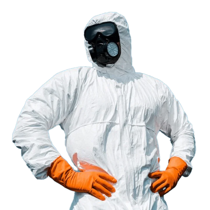 Disinfestazione con maschera specializzato nella disinfestazione di case e condomini
